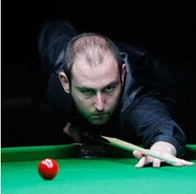 标签可能会 标签可能会