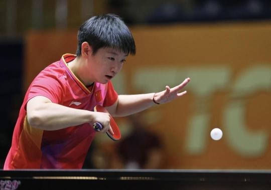 在体育的世 在体育的世