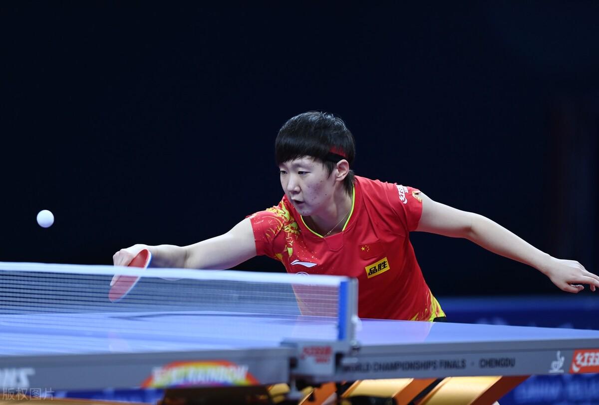 他们采用了 他们采用了