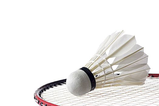 老将有望再 老将有望再