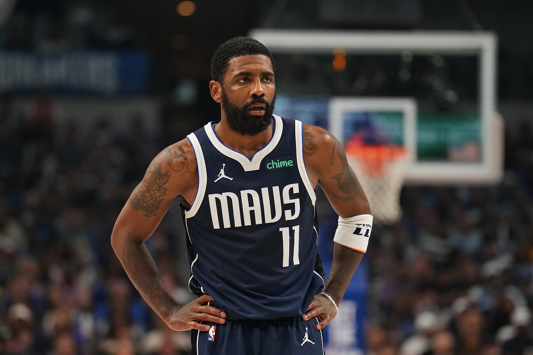 会整体的文 会整体的文